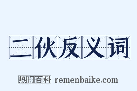 二伙反义词是什么意思的图片